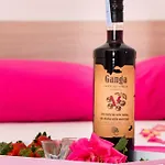 Jusepe 트로기르